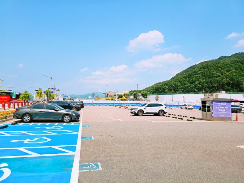 사진 5