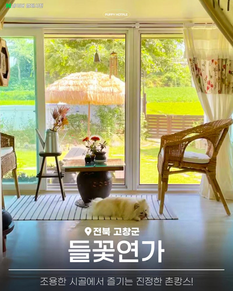 들꽃연가