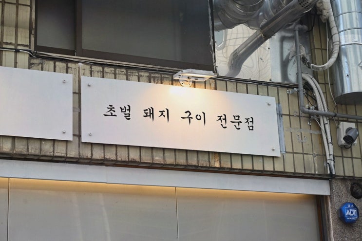  도화식당, 서면 맛집에서 눈꽃 삼겹에 감동을