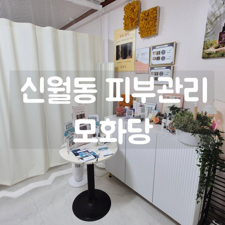 신월동피부관리 모화당 물광 관리로 화사한 피부와 윤곽관리로 작은 얼굴 만들기!
