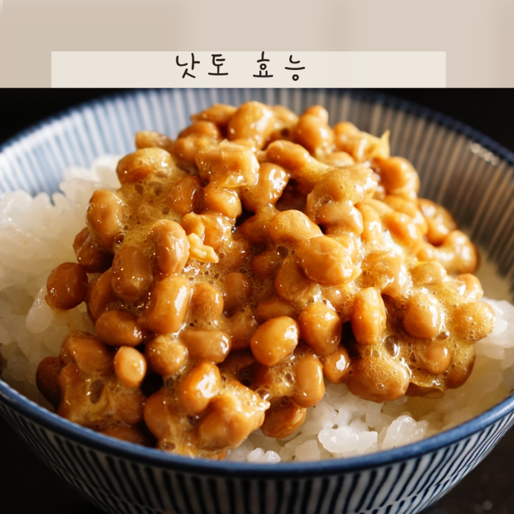 낫토 효능 7가지! 장건강 면역력에 좋은 이유 알아보기