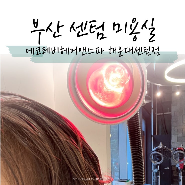 해운대 미용실 에코레비헤어앤스파 신비원장님께 문제성두피관리