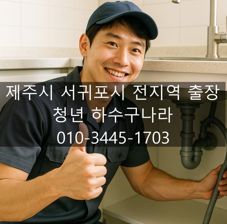  제주시 조천읍 하수구 막힘