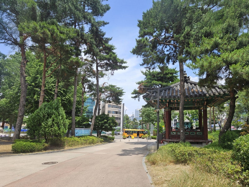 사진 3