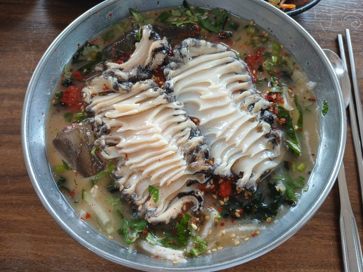  [제주/서귀포] 서귀포 물회 맛집 공천포식당