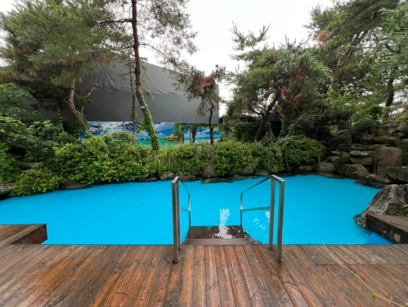 개떼놀이터 남양주 애견운동장 강아지놀이터 펫 반려견