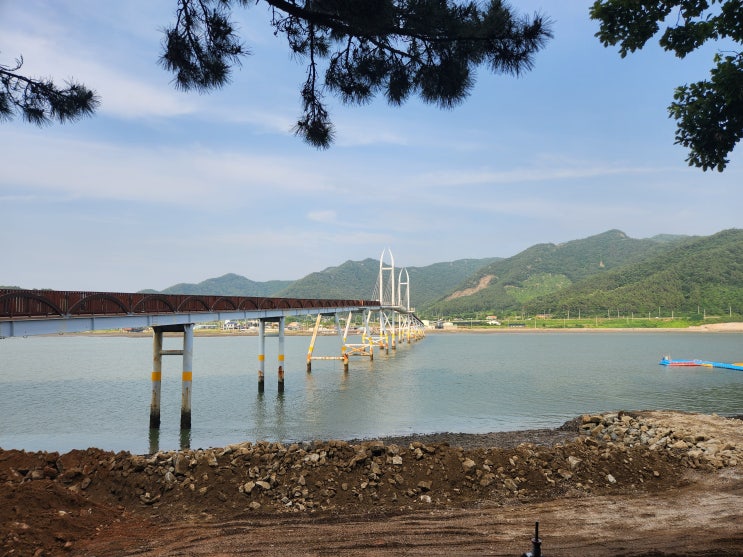  강진 가우도 출렁다리 3살 아이와 다녀온 후기