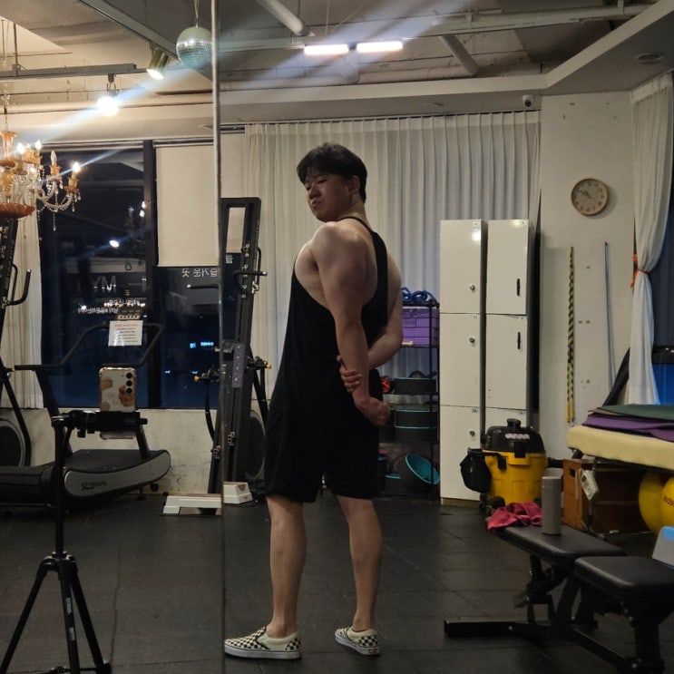 250625 삼두 이두 팔 운동루틴 체형분석 250625 삼두 이두 팔 운동루틴 체형분석