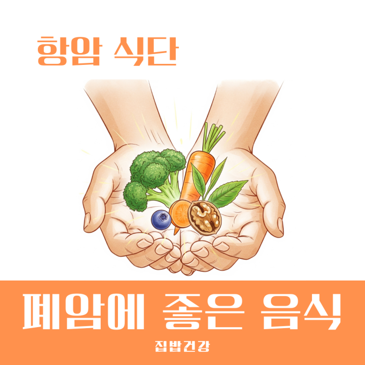 폐암에 좋은 음식 의사들이 추천하는 면역력 높이는 항암 식단 가이드