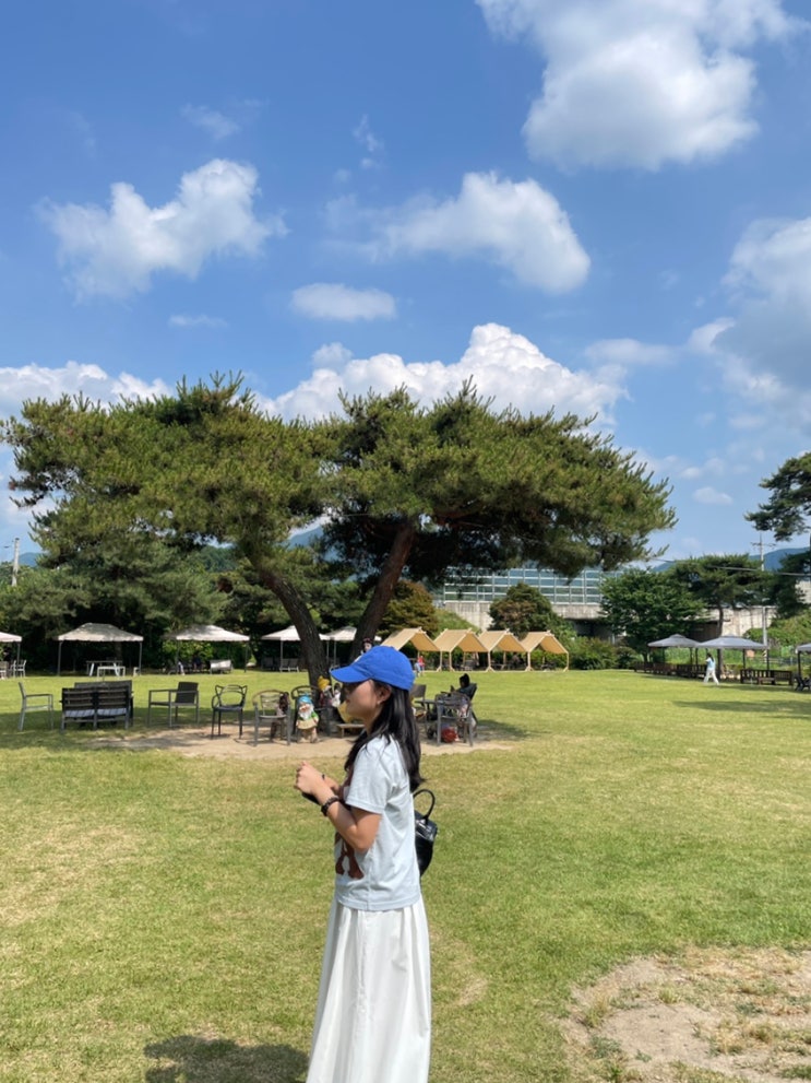  Diary#65 2025.06 직장인 일상, 천안 각원사