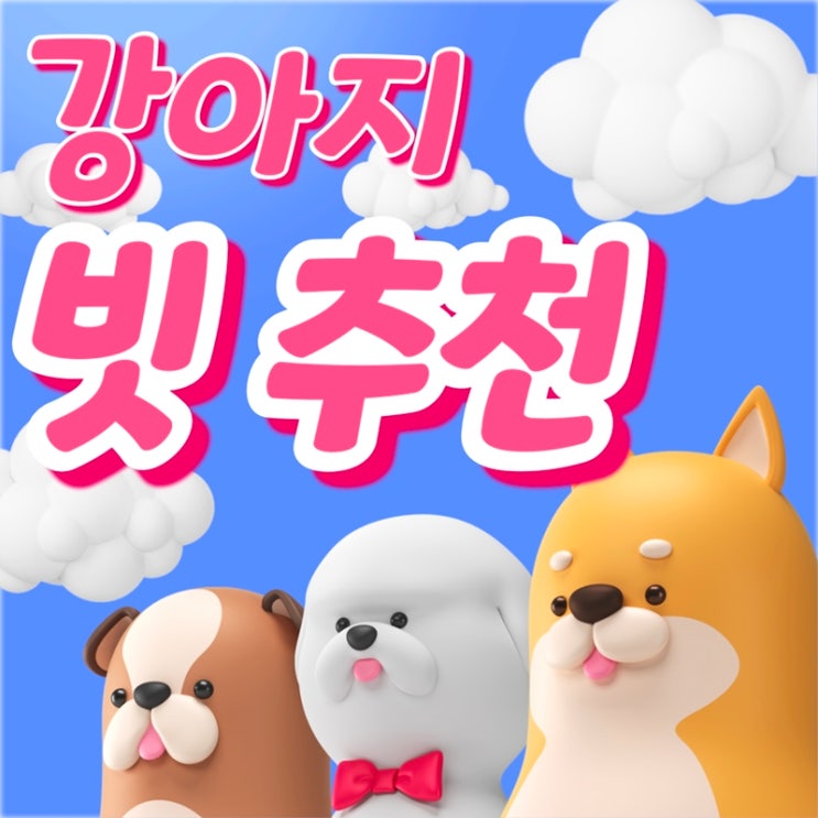  원시림곰빗 강아지 빗 추천 1순위가 된 이유