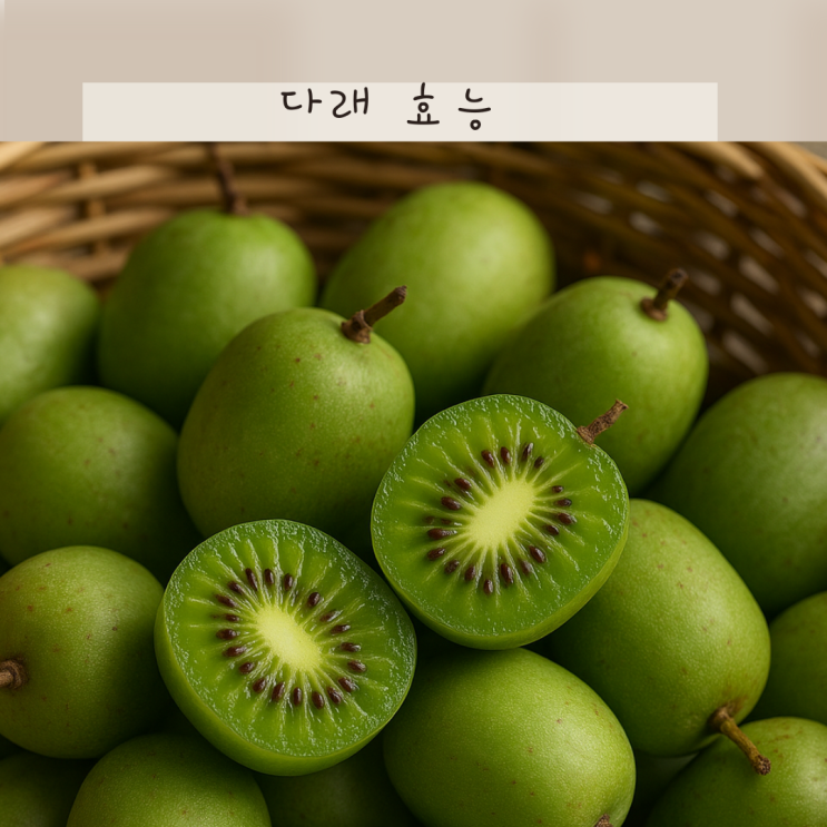 토종 다래 효능 속 편하고 피로회복 된다고? 다래추출물 놀랍네요