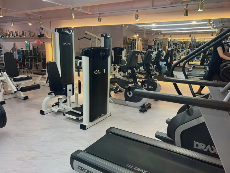  여성 전문 웨딩 드레스 체형 개선, 산본 PT