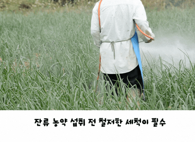  “2025 농산물 농약 오염 실태”, 어떤 작물이 가장 위험할까?
