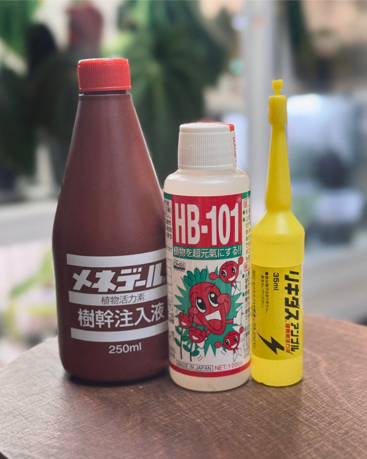  식물 활력제, 안스리움 영양제 차이와 사용법