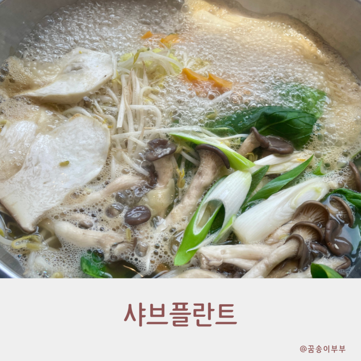 샤브플란트 인천 샤브샤브 무한리필로 푸짐하게 즐겨요