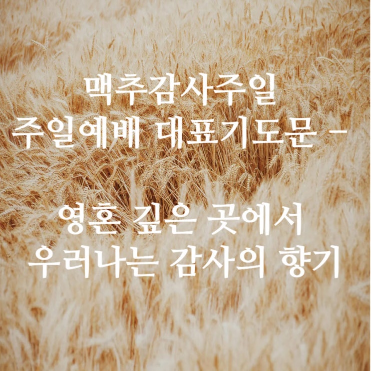  맥추감사주일 주일예배 대표기도문: 영혼 깊은 곳에서 우러나는 감사의 향기