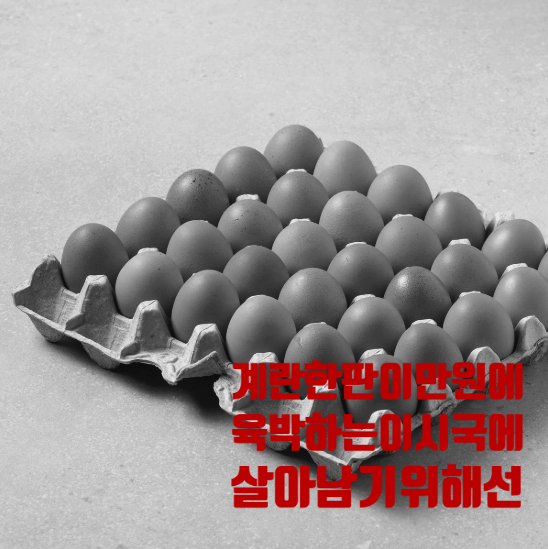 월급으로 버티는 당신, 이 책 없이는 퇴사 못합니다! 재택창업, 꿈이 아닌 현실이 되는 기적!