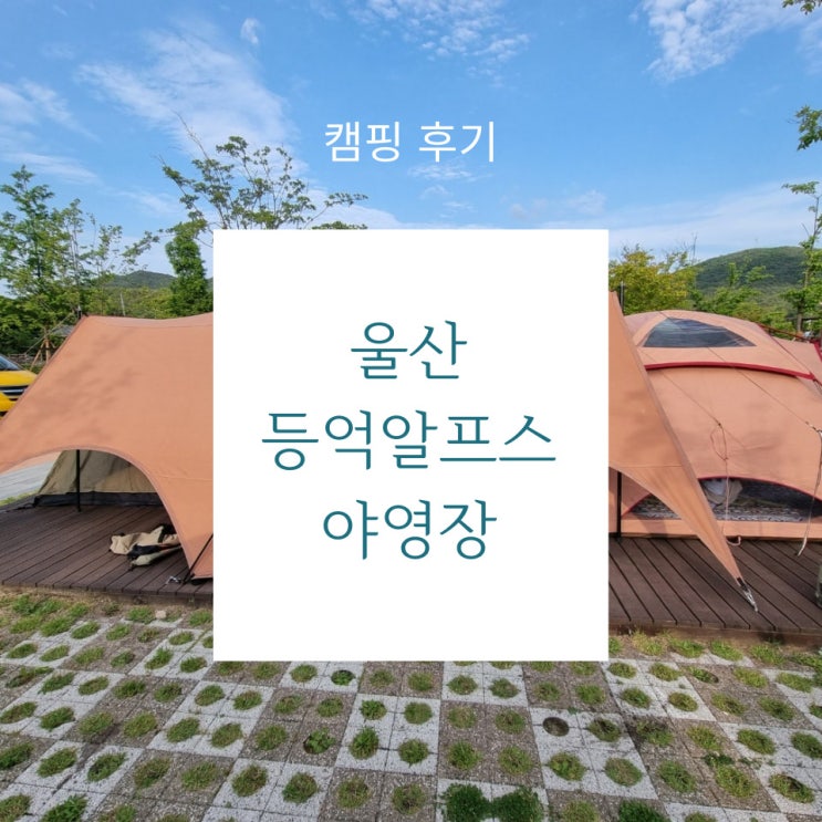  캠핑 후기 - 깔끔한 시설의 대형 캠핑장 울산 등억알프스야영장