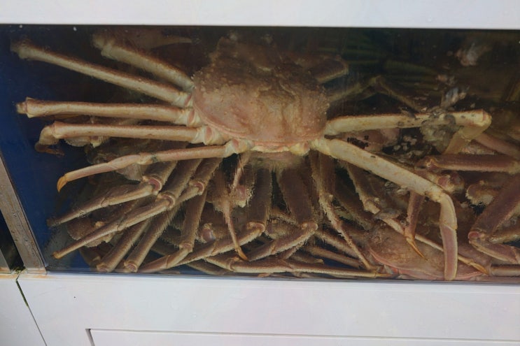  [맛집리뷰] 월곶수산마켓, 해산물이 가득한 월곶포구맛집