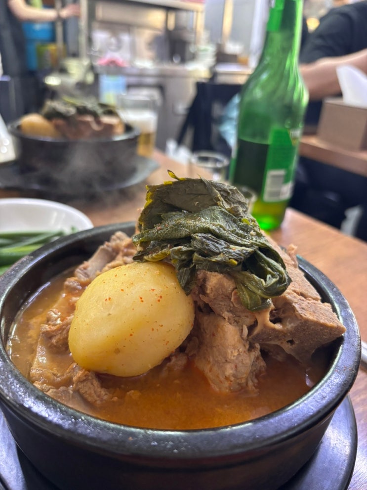  광화문 뚝감 종로 광화문 노포 직장인 맛집에서 낮술 한 잔~