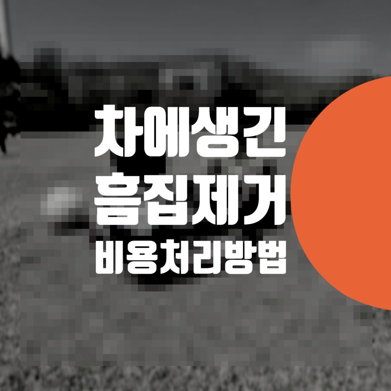 자동차 흠집 제거 합리적인 비용 / 수리 방법은?