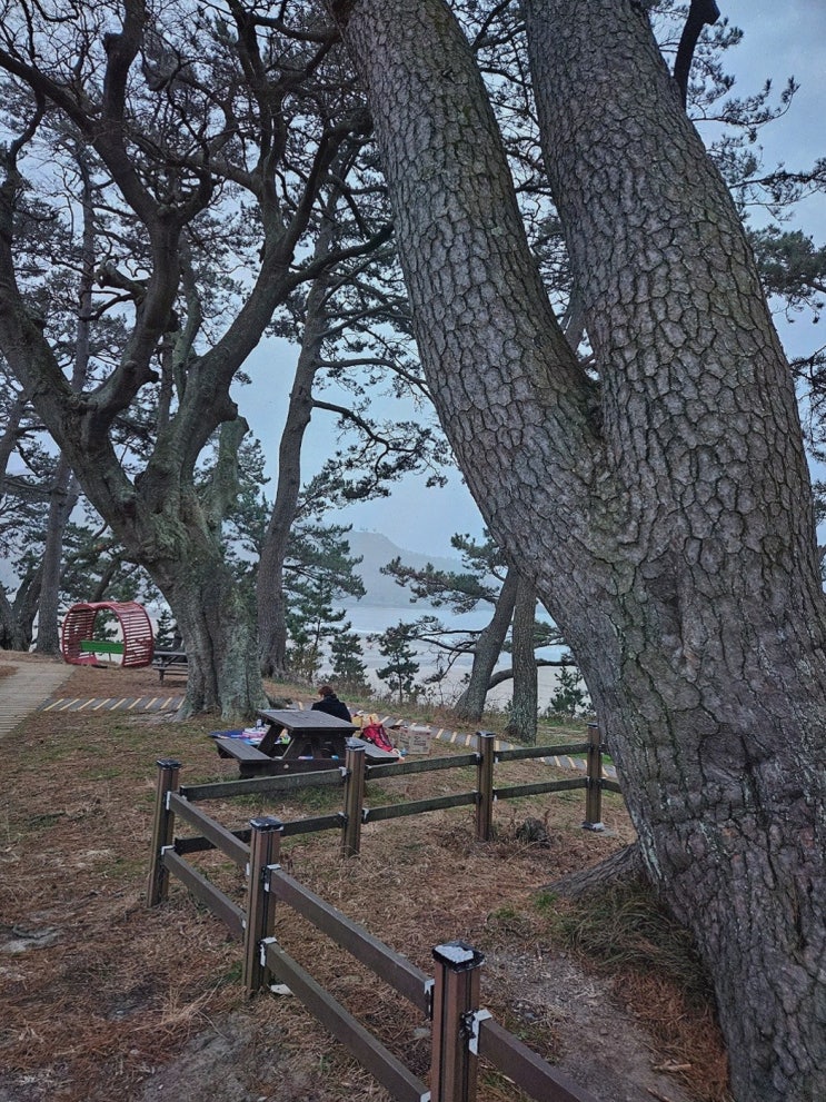  [상담리뷰] 천상장군 민지보살 김해, 마음의 위로와 비즈니스 성공의 연결고리 김해점집