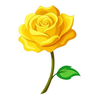 노란 장미(A yellow rose)
