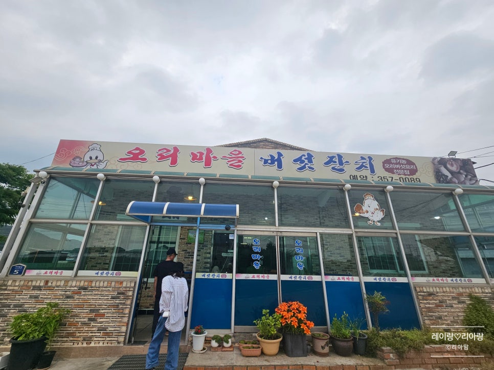 오리마을버섯잔치 사진 1