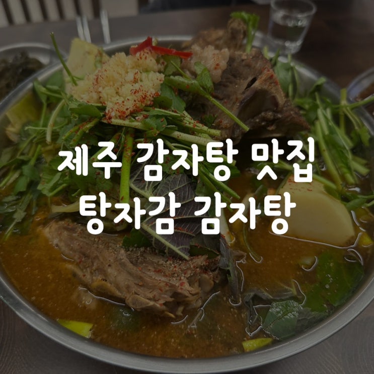 속을 건강하고 든든하게 채워준 제주 감자탕 맛집 탕자감 감자탕