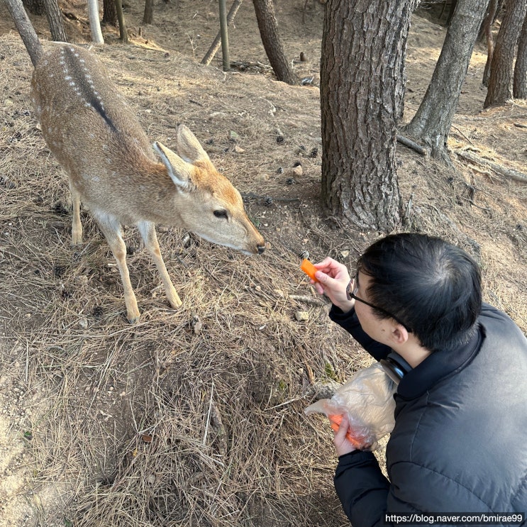  [창원부산 여행기] 창원 사슴이 있는 섬 '소쿠리섬'과 창원부산 1박2일 여행기