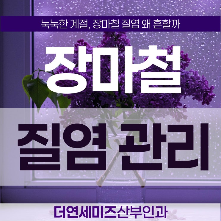  도곡역질염치료 장마철, 습기와 면역 저하 여성 건강 관리 포인트