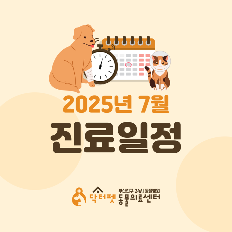  닥터펫동물의료센터 2025년 7월 진료 일정 및 스케줄 안내 (부산 24시 동물병원)