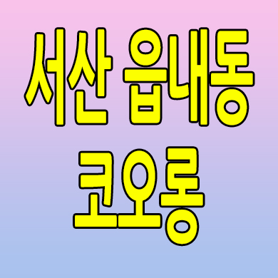  서산 읍내동 할인분양 오피스텔 코오롱 레이크뷰 원룸 선임대 분양문의
