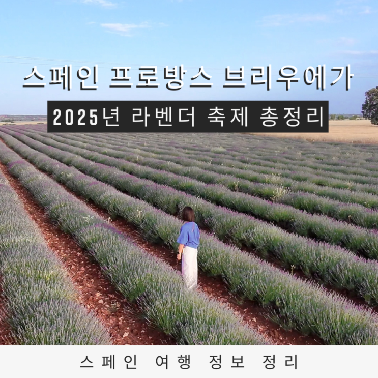  스페인 프로방스 브리우에가 2025년 라벤더 축제 일정