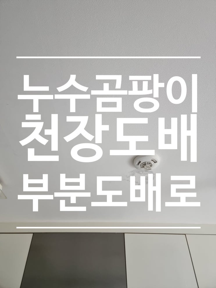  누수피해복구 천장 곰팡이 제거하고 새로 도배시공
