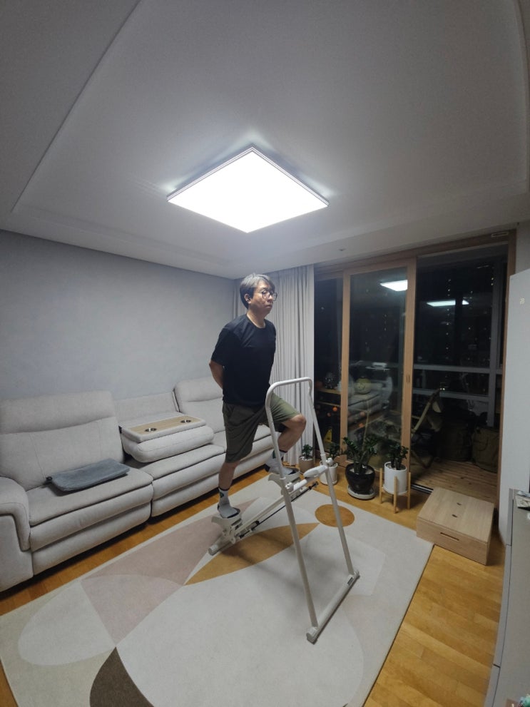 공간 절약 가정용 스텝퍼 추천으로 엑사이더 천국의계단 홈트 유산소 운동기구 실사용 후기