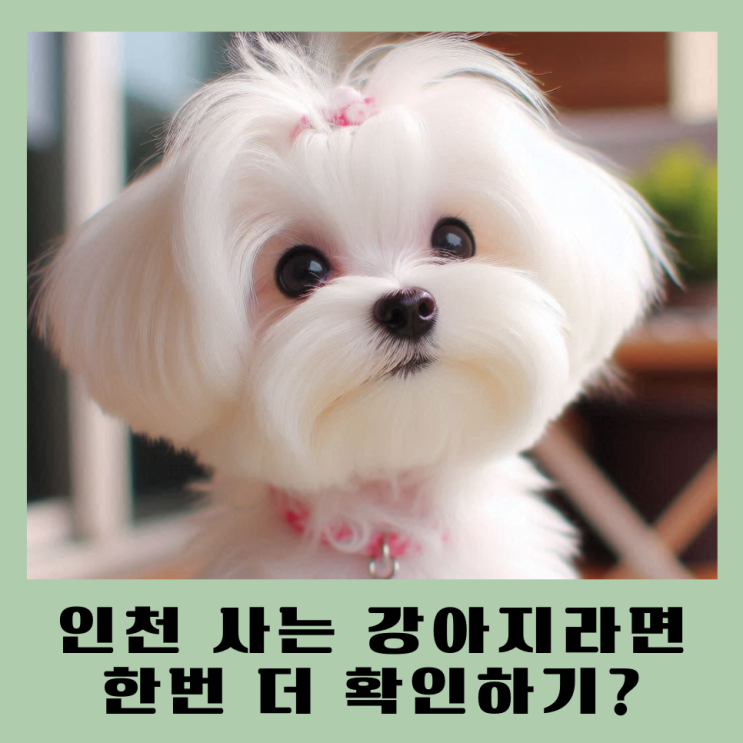  인천 반려견 동물등록방법 자진신고 기간 과태료