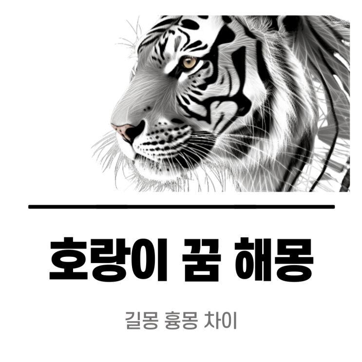 호랑이 꿈 해몽 길몽과 흉몽 차이