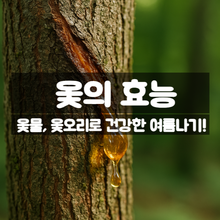  옻의 효능 부작용 – 옻물 옻오리로 여름철 건강 지키기