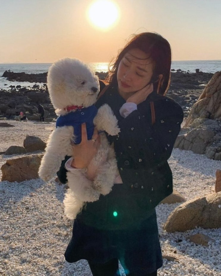  여름 신발 인기 폭발! 차정원 운동화 아식스 젤벤쳐6