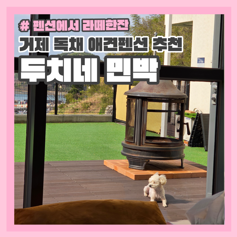 사진 4