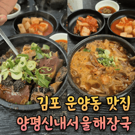  김포 해장국 운양동 양평해장국 맛집 [양평신내서울해장국]