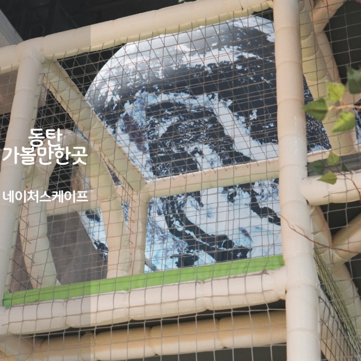  동탄 여름방학가볼만한곳 네이처스케이프 플러스 초등키즈카페 추천
