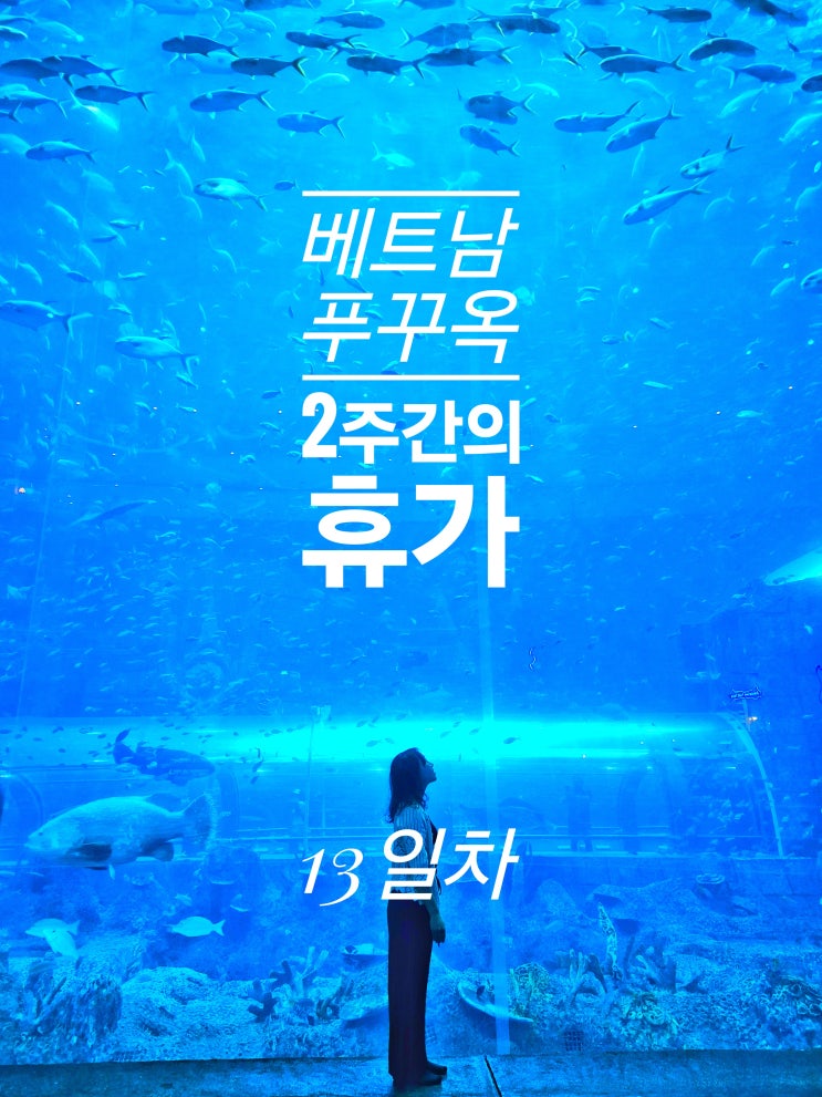  푸꾸옥 13일차 - 28 Detrees 빈원더스 하루 종일 놀기 ( + 폐장 후 차량 상황 : 집에 갈 수 있을까) 사이공리조트
