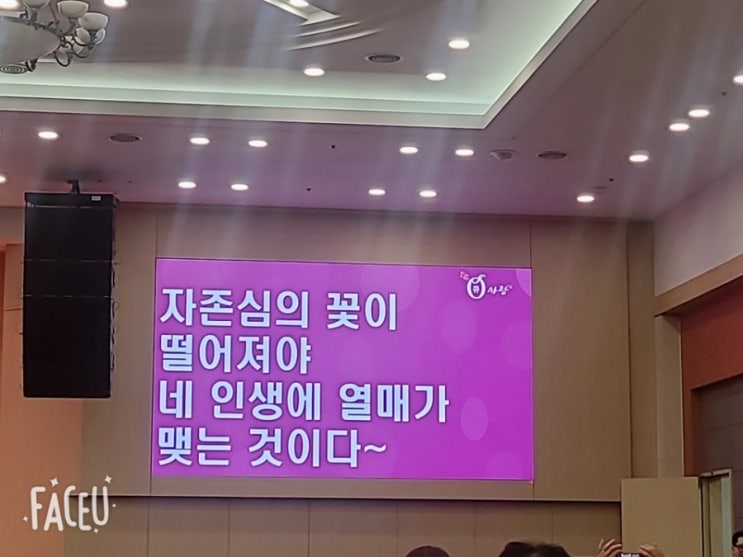  [큐사랑 천연염색방의 특별한 2025년6월단양워크샵!