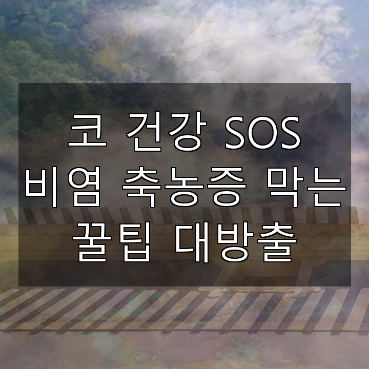 코 건강 SOS 비염 축농증 막는 꿀팁 대방출