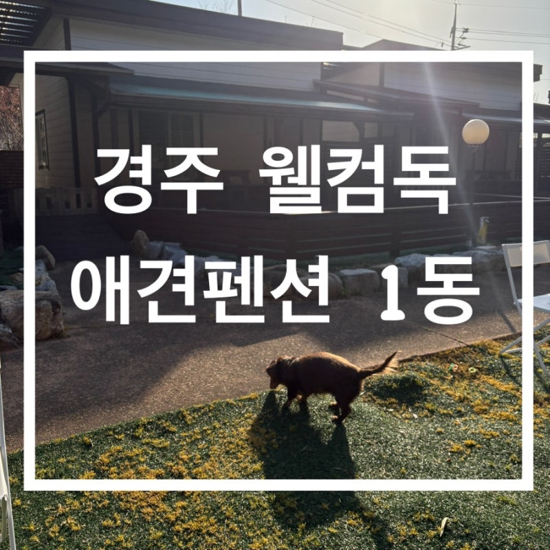 사진 4