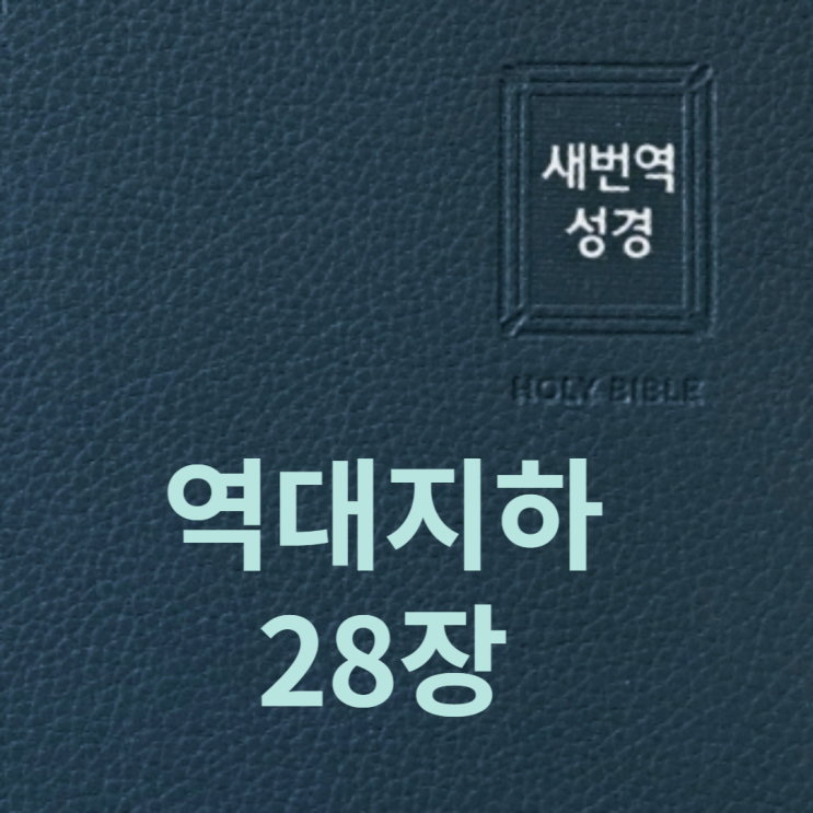 역대지하 28장 역대지하 28장