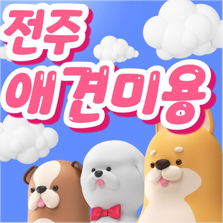  전주애견미용학원 국비보다 자부담금이 적은 시스템